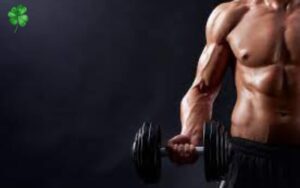 Gym và Fitness