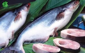 Cá basa bao nhiêu calo