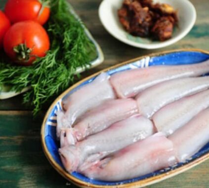 Cá khoai là cá gì 1