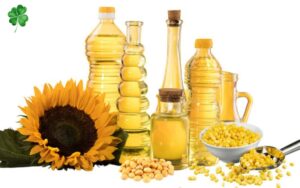 Thực phẩm giàu chất béo omega 3