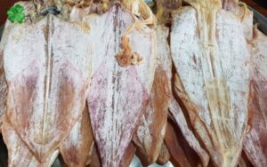 bảo quản mực khô