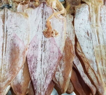 bảo quản khô mực