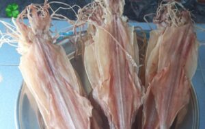 bảo quản khô mực