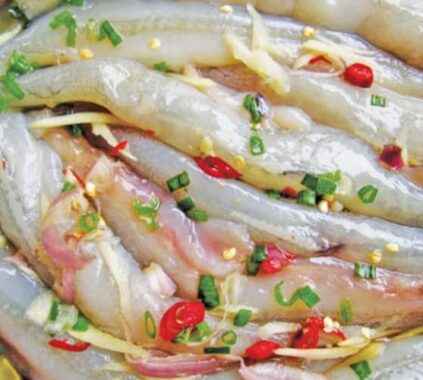 cá khoái có tác dụng gì 4