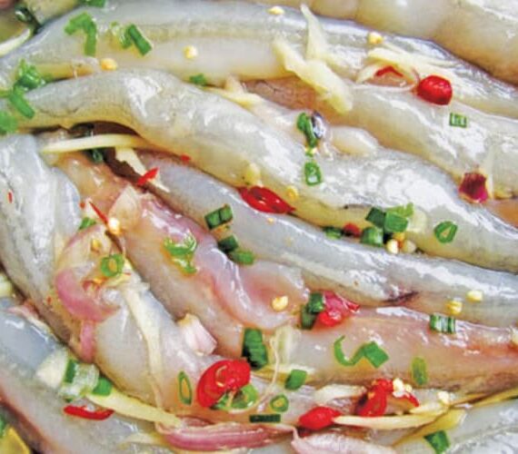 cá khoái có tác dụng gì 4