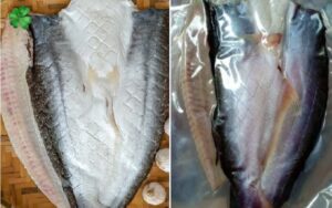 cứ dứa và cá basa 1