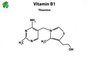 vitamin b1 