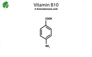 Vitamin B10