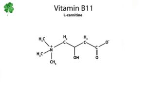 Vitamin B11