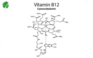 Vitamin B12