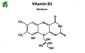 Vitamin B2