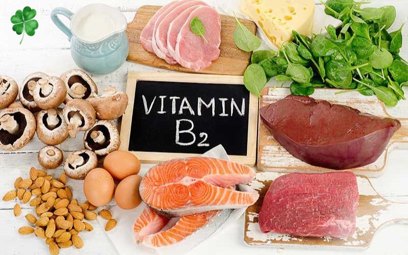 Vitamin B2 là gì