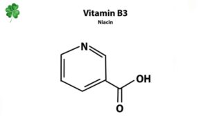 Vitamin B3
