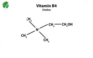 Vitamin B4