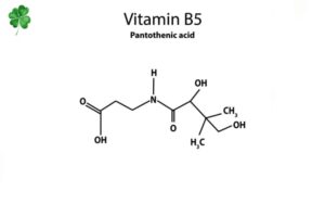 Vitamin B5