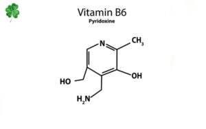 Vitamin B6