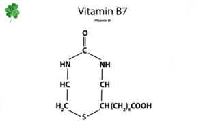 Vitamin B7