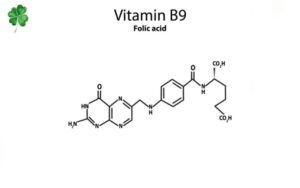 Vitamin B9