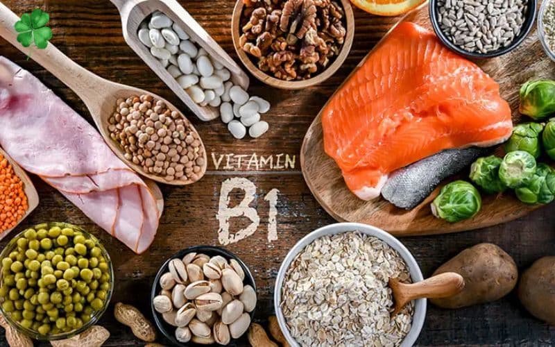 vitamin b1 là gì
