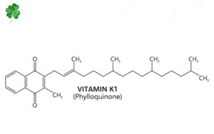 vitamin k1
