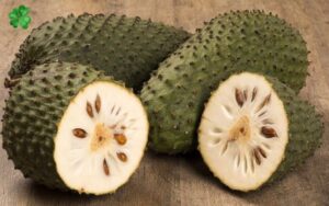 Lợi ích của quả mãng cầu 1