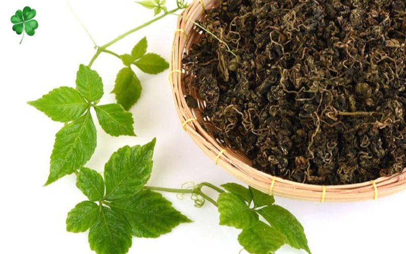 uống trà giảo cổ lam có giảm cân không