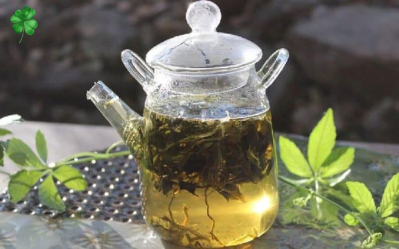 Uống trà giảo cổ lam có giảm cân không