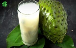 bầu ăn được mãng cầu không 3