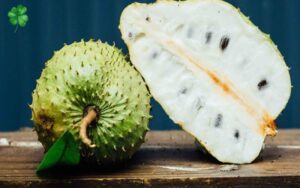 bầu ăn được mãng cầu không 4