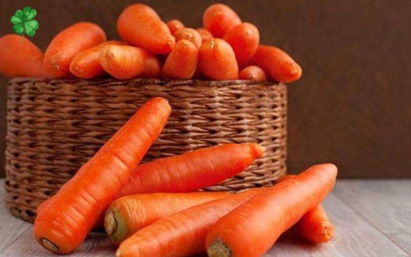 ăn cà rốt có tốt không 1