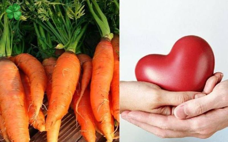 ăn cà rốt có tốt không 2