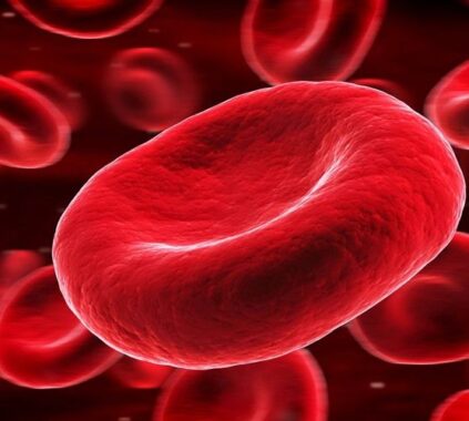 tình trạng tăng hồng cầu trong máu 1