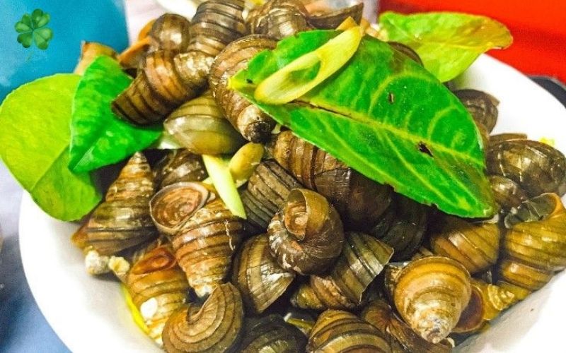 quán ốc ngon tại cầu giấy 4