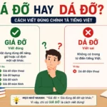 Giá đỡ hay dá dỡ