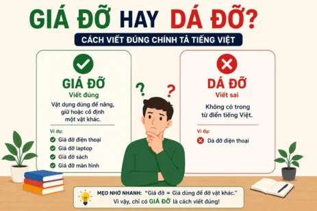 Giá đỡ hay dá dỡ